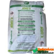 Acido borico - 25 kg - Imagem 2