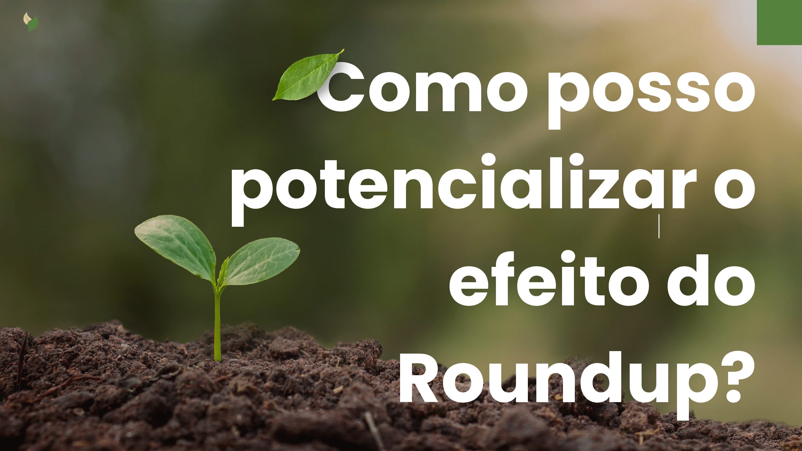 “Maximizando a Eficácia do Roundup: Estratégias Comprovadas para um Controle Total de Plantas Daninhas” 1 Como posso potencializar pdf