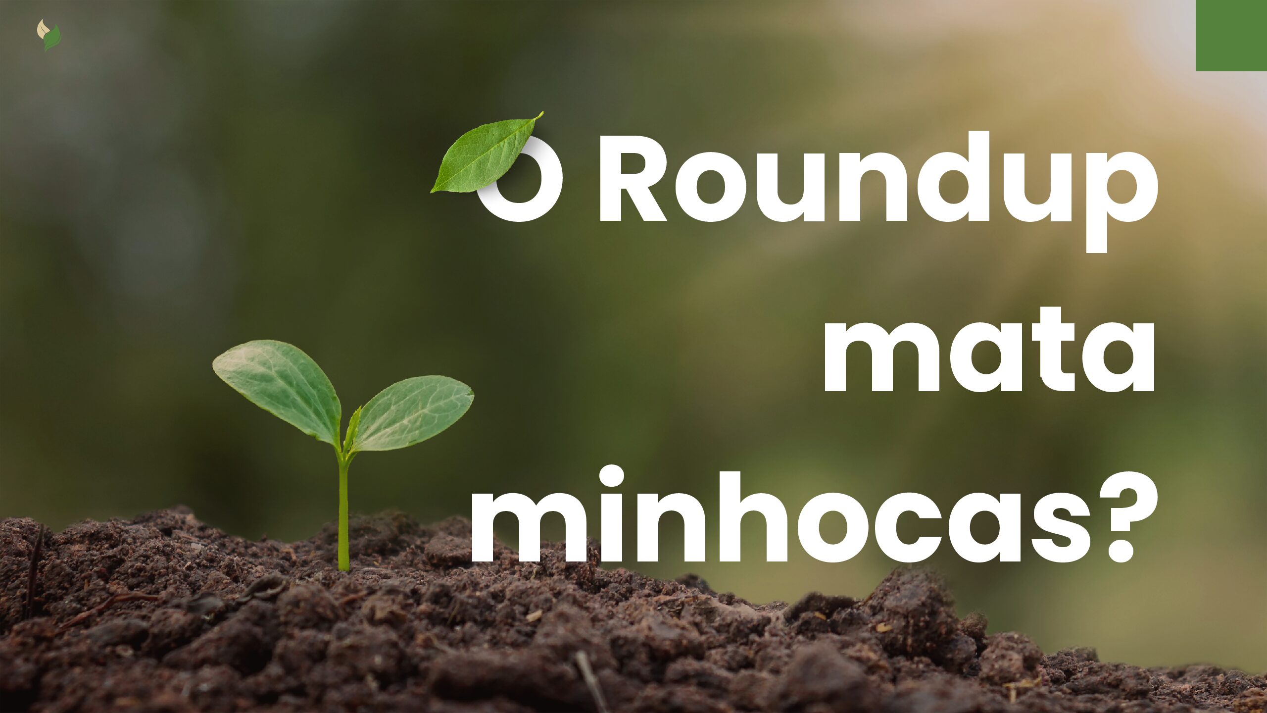 O impacto do Roundup na vida do solo: minhocas estão em risco? 1 O Roundup mata minhocas pdf