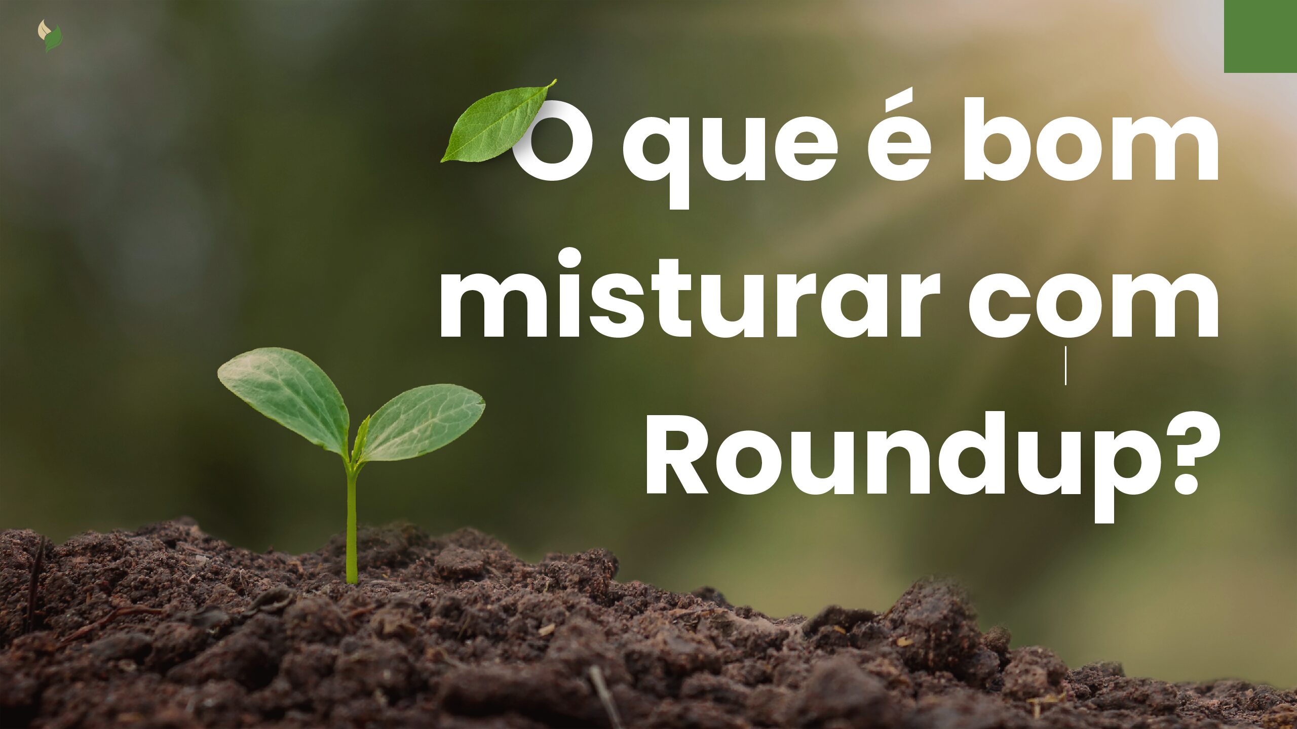 Potencializando o Roundup: Misturas Inteligentes para Máxima Eficiência 1 O que e bom misturar com Roundup pdf
