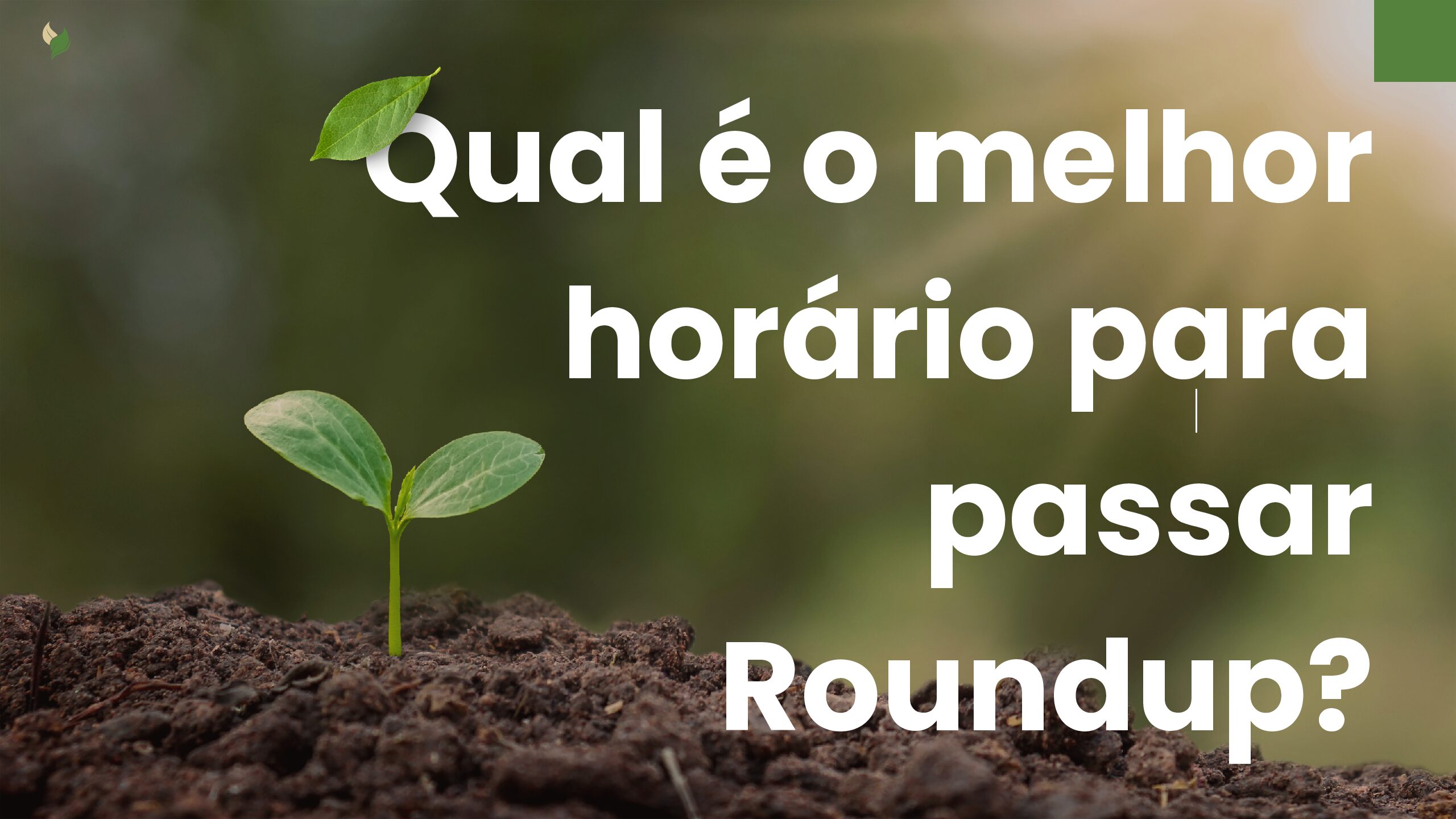 O horário certo para aplicar Roundup: o segredo da máxima eficiência no controle de ervas daninhas 1 Qual e o melhor horario para passar Roundup pdf