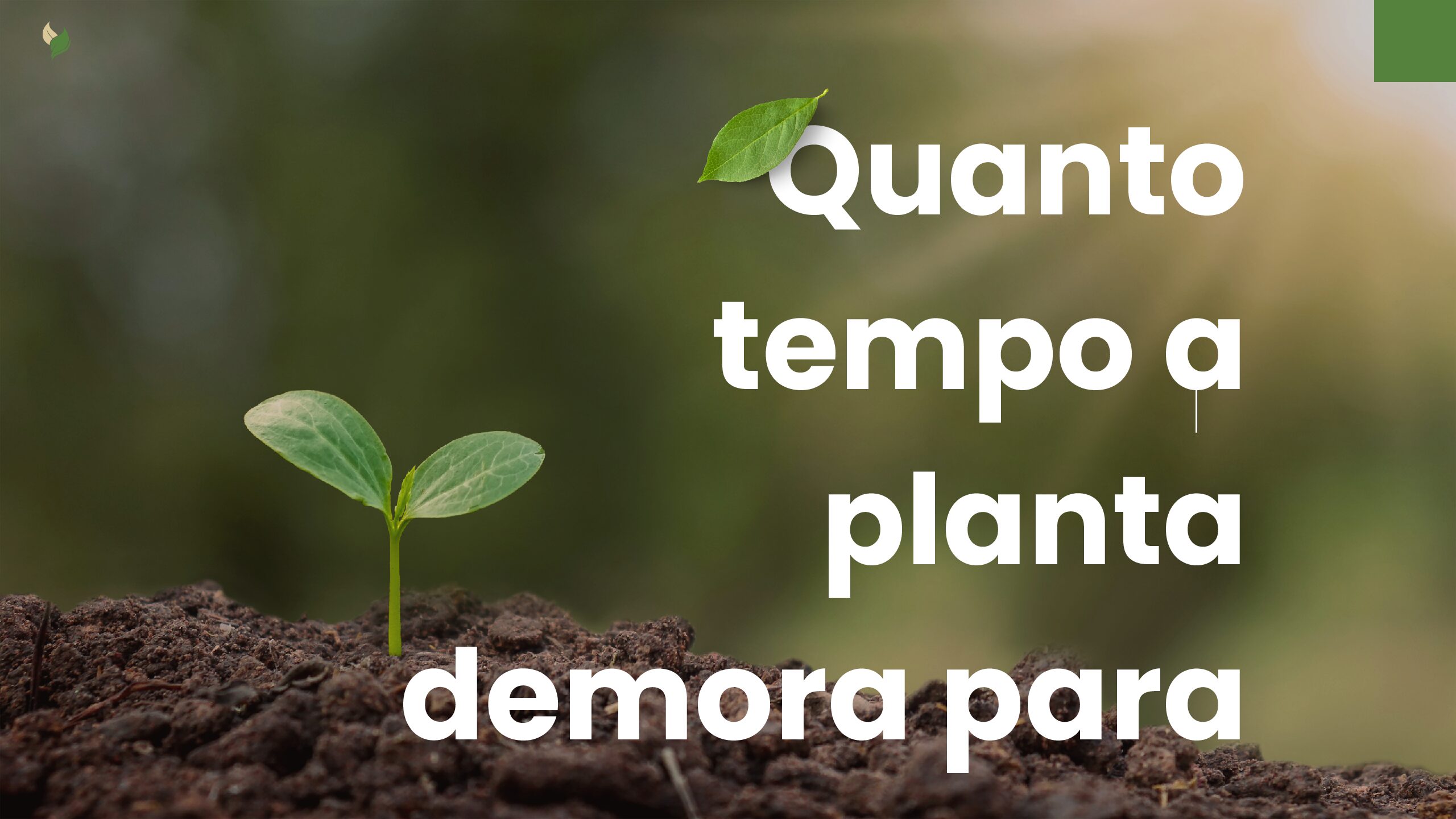 O Tempo Invisível: Descubra Quanto a Planta Demora para Absorver o Glifosato 1 Quanto tempo a planta demora para absorver o glifosato pdf