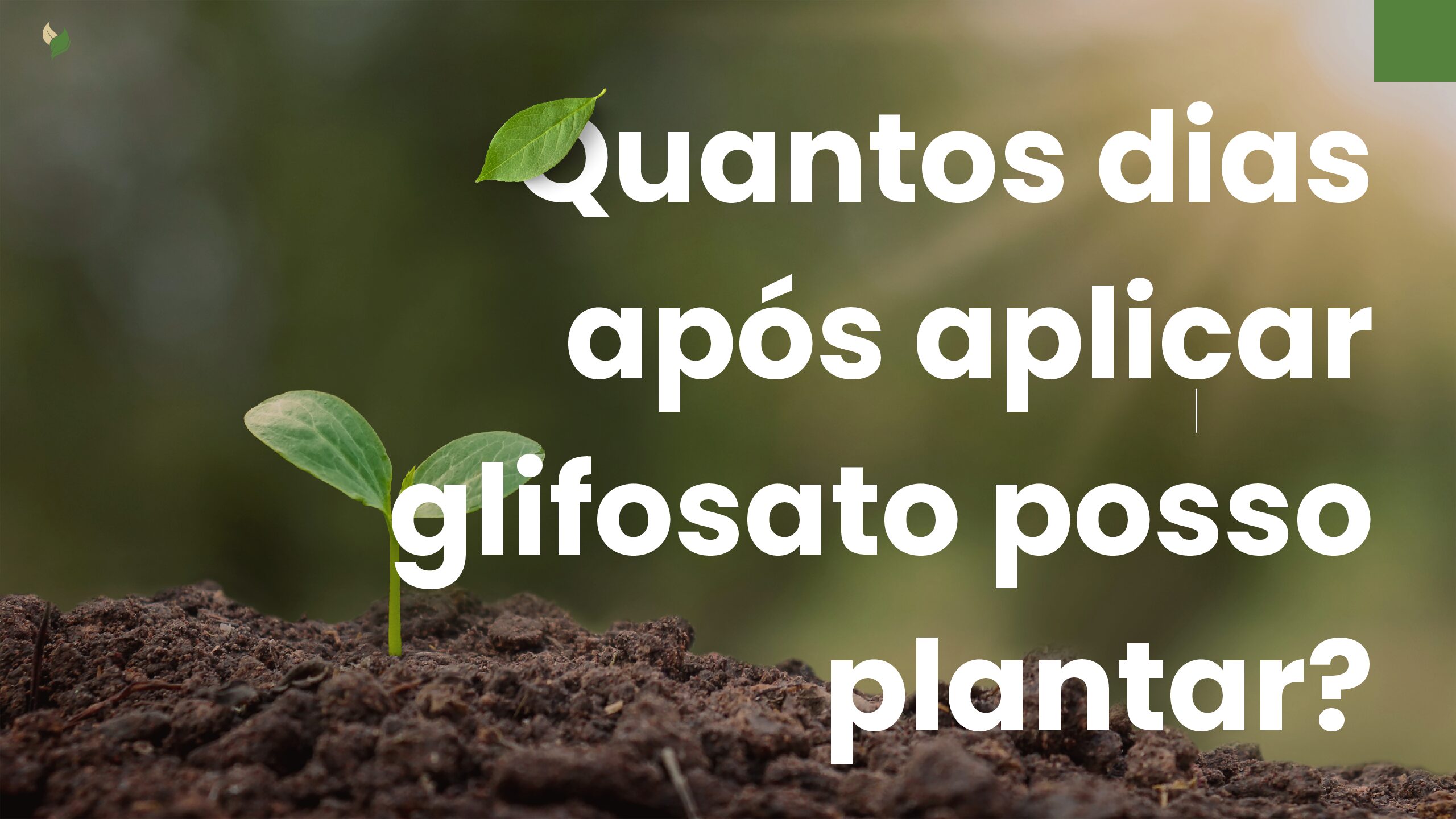Plantio Seguro: Quanto Tempo Esperar Após Aplicar Glifosato? 1 Quantos dias apos aplicar glifosato pdf