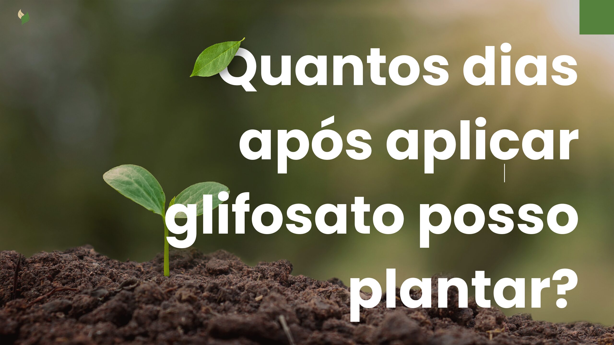 A Diluição Correta do Roundup: Quantos ml Usar em 20 Litros de Água? 1 Quantos dias apos aplicar glifosato posso plantar pdf