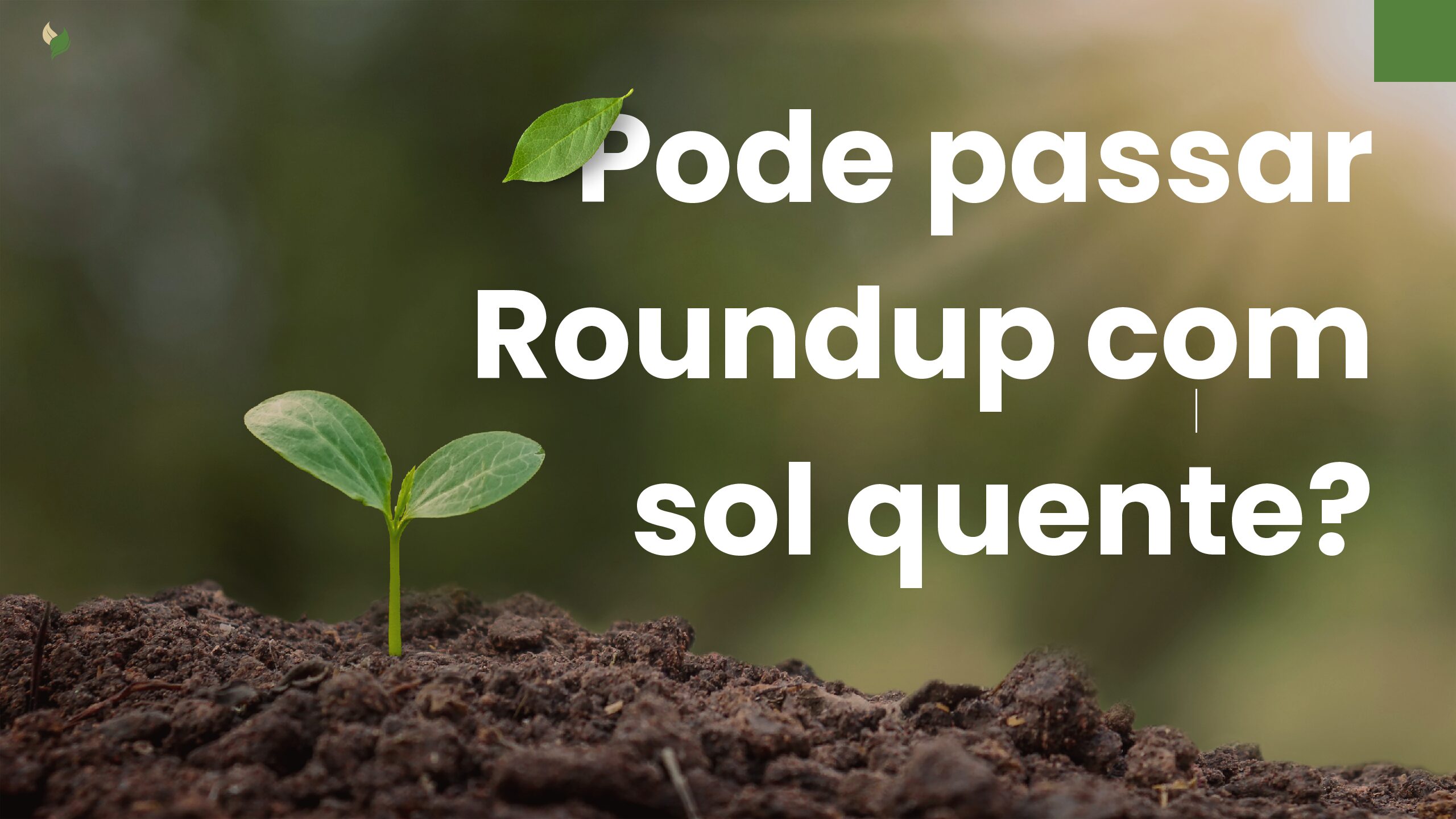 O impacto do sol quente na aplicação de Roundup: o que você precisa saber 1 Roundup pdf