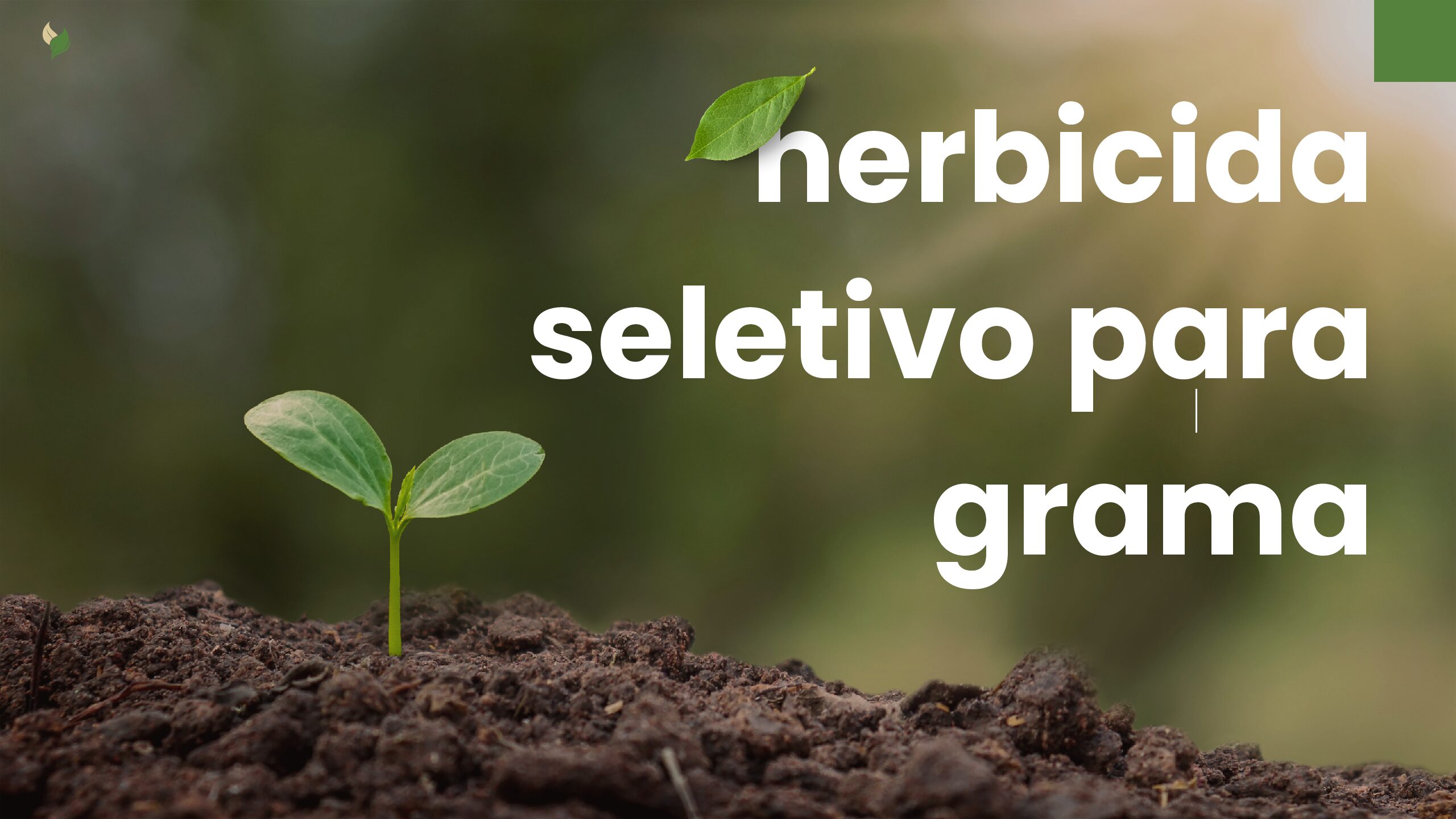 herbicida seletivo para grama​ pdf