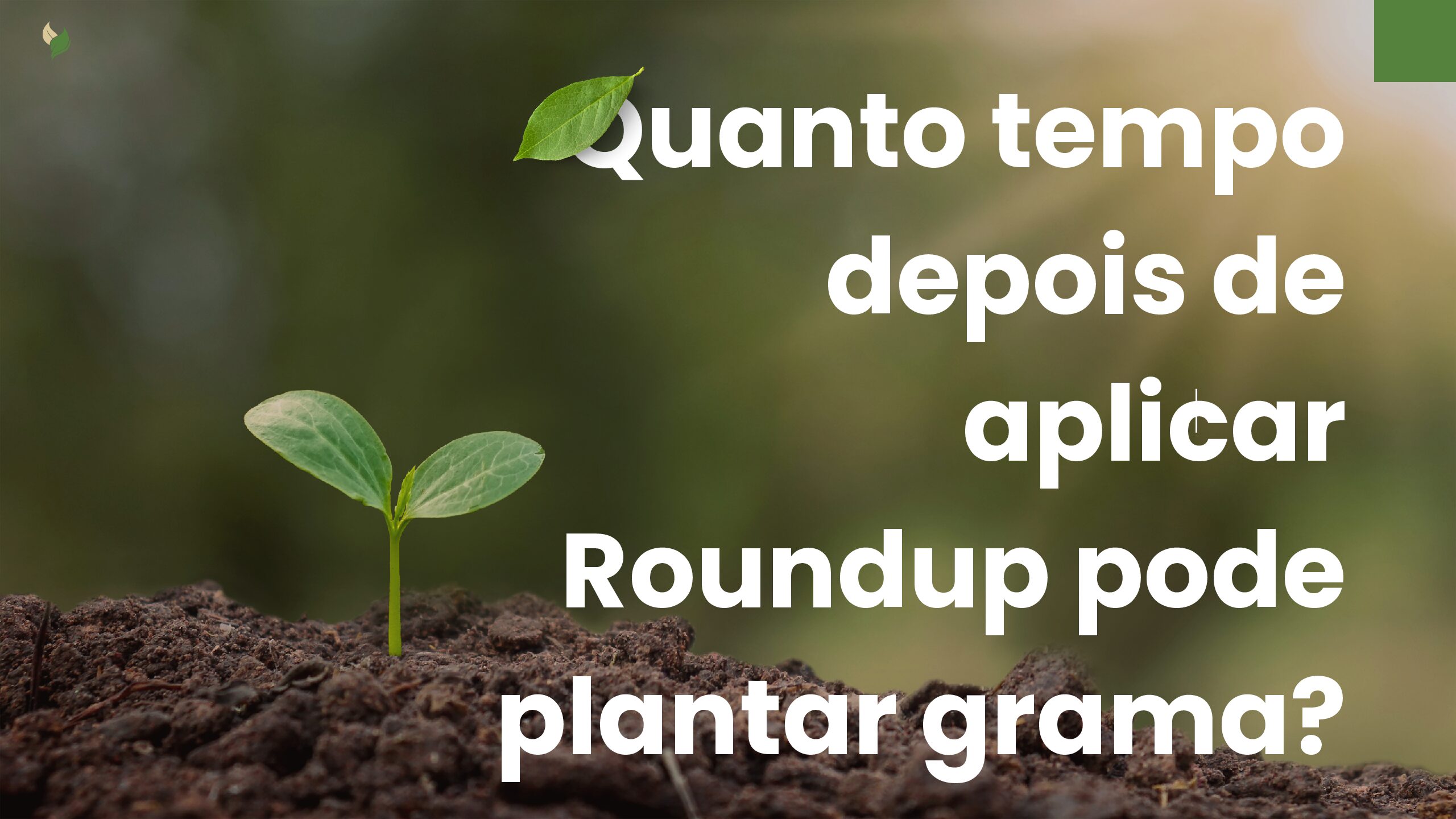 Após o Roundup: Quando é Seguro Plantar Grama Novamente? 1 plamtar 1 pdf
